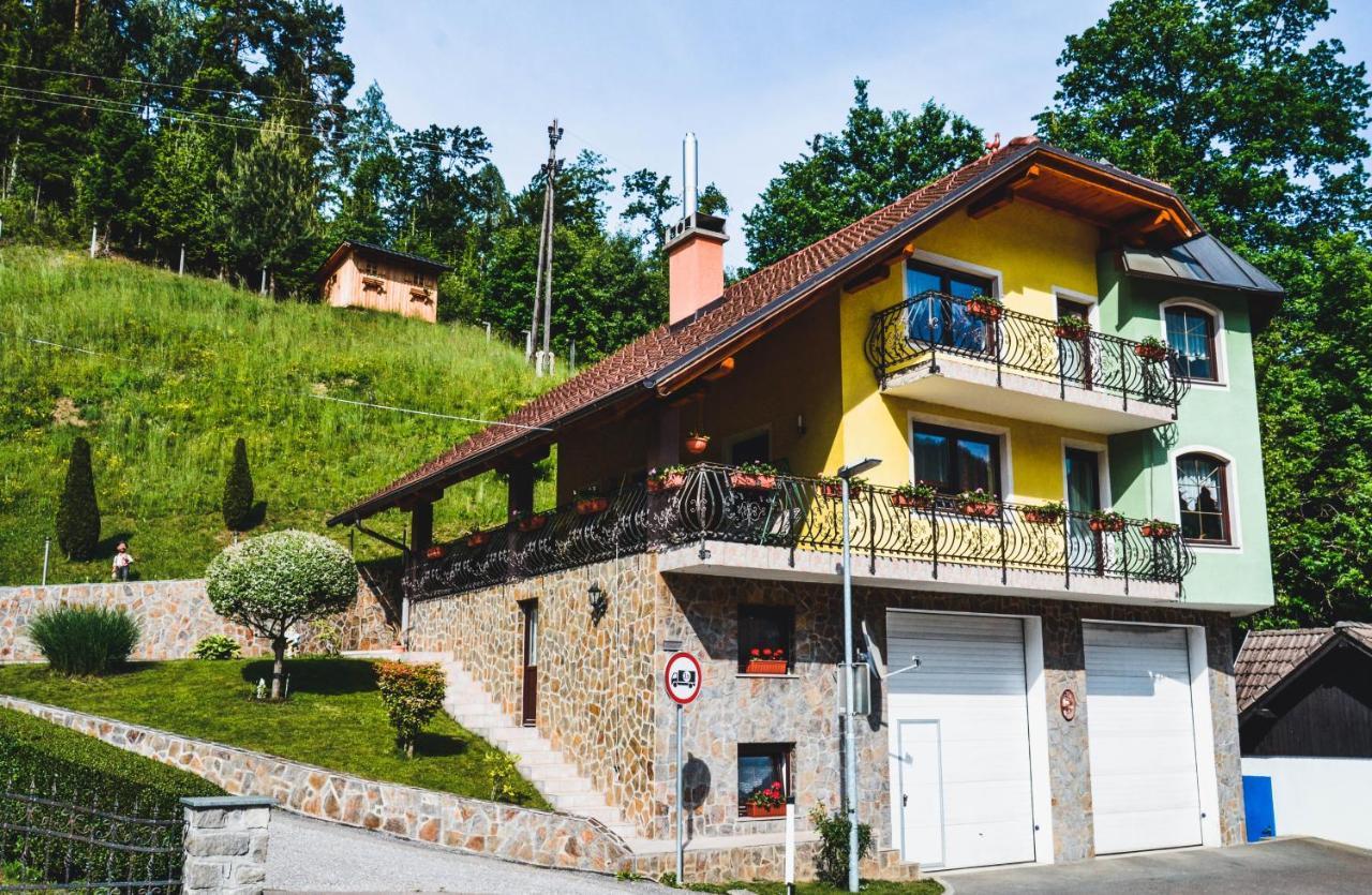 Apartmaji Krebs Mezica 外观 照片